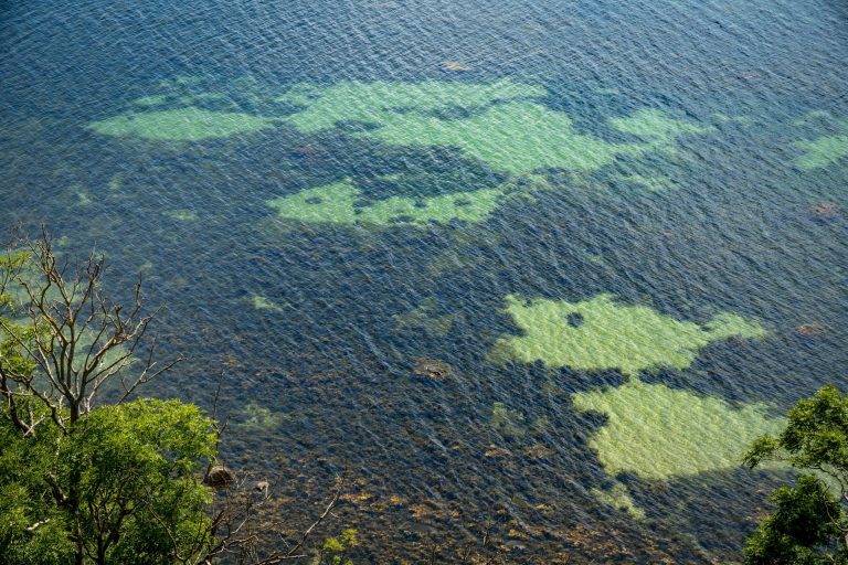 Island Retreats Offering Snorkeling in Coral Gardens