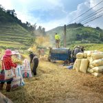 Autonomous Farming Vehicles Increasing Agricultural Efficiency