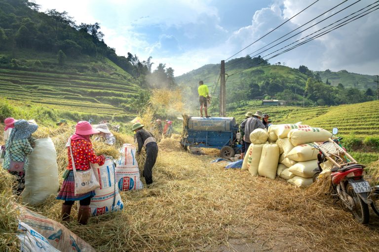 Autonomous Farming Vehicles Increasing Agricultural Efficiency