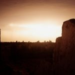 Desert Adventures With Guided Camel Back Tours