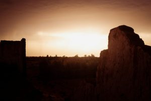 Desert Adventures With Guided Camel Back Tours