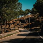 Road Trips to Chase Seasonal Phenomena