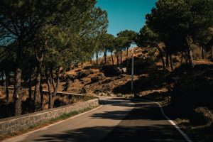 Road Trips to Chase Seasonal Phenomena
