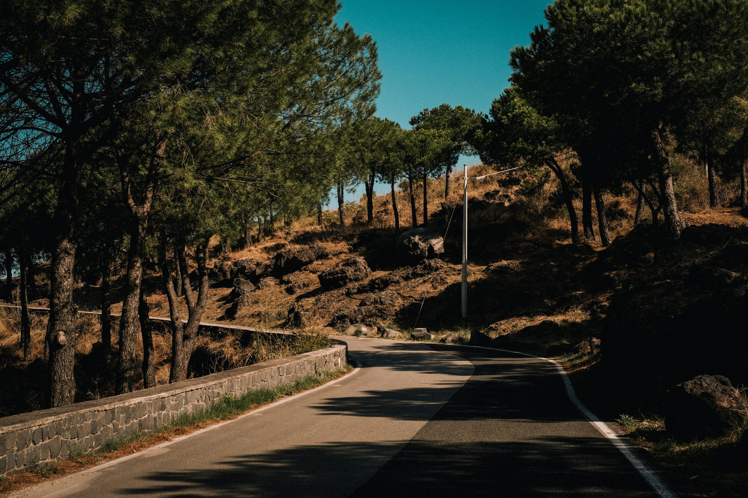Road Trips to Chase Seasonal Phenomena