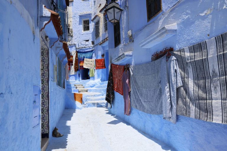 Exploring Street Food Favorites Around the World