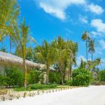 Ski Resorts Offering Year-Round Activities and Events