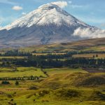 Exploring Wine Festivals Across Countryside Towns