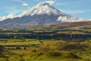 Exploring Wine Festivals Across Countryside Towns