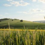 Scenic Drives Through Rolling Countryside Hills