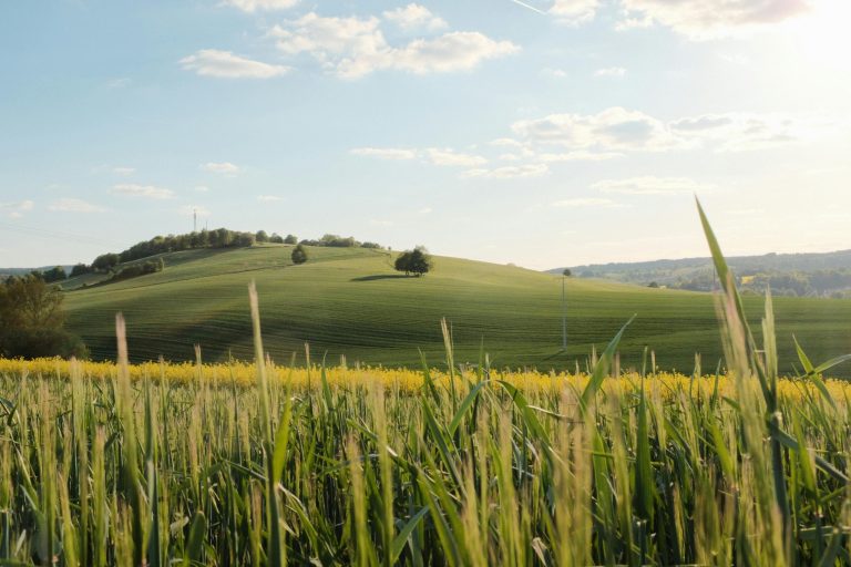 Scenic Drives Through Rolling Countryside Hills
