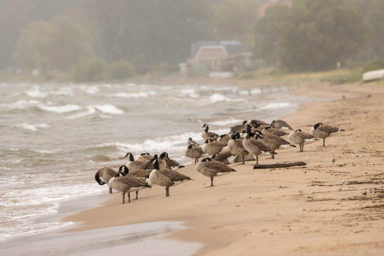 Rental Laws Landlords Must Understand in 2025