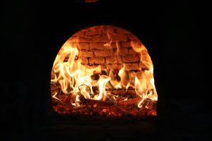 The Role of Fire in Early Human Cooking