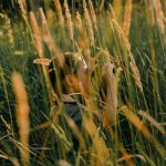 Field Trips That Expand Learning Beyond Classroom Boundaries