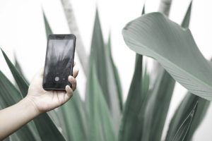 The Impact of 5G on Mobile Software Capabilities