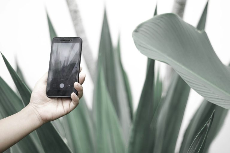 The Impact of 5G on Mobile Software Capabilities